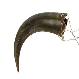 Real Hollow Buffalo Bison Horn, Holes Drilled and Strung